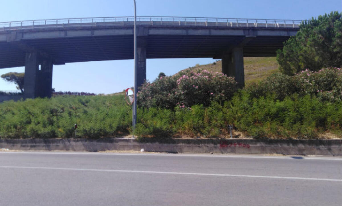 "Difetti del manto stradale sulla Gela-Manfria", donna ferita dopo incidente: Anas deve risarcirla - 