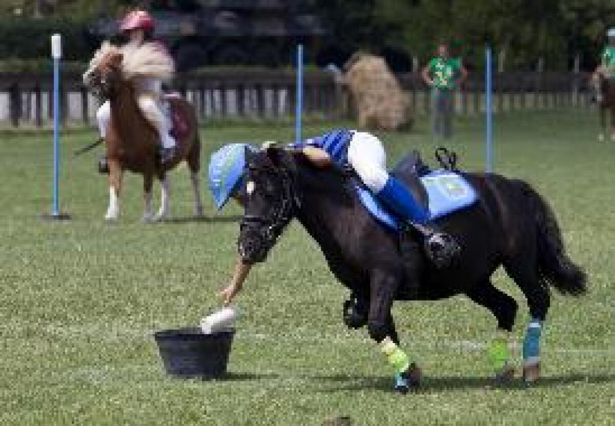 EQUITAZIONE: DAL 28 AL 31 AGOSTO A ROMA LA 14^ EDIZIONE DELLE PONYADI - 