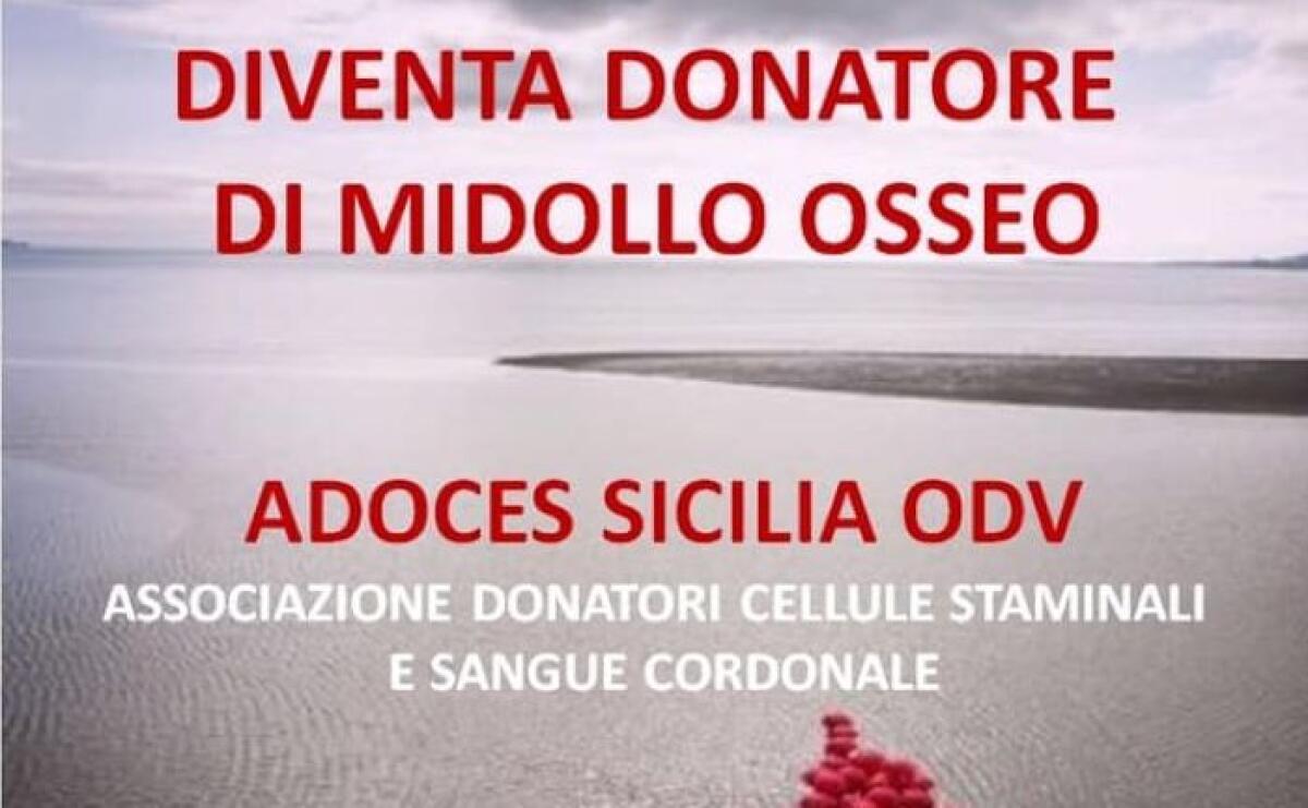 Diventare donatori di midollo, "match is now" ai muretti - 