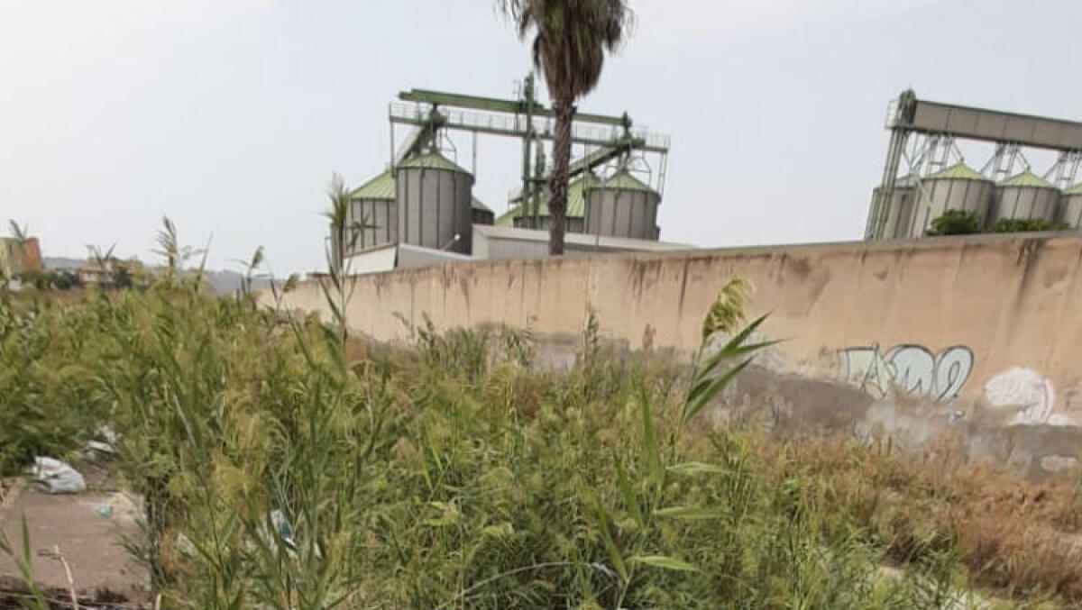 Canale abbandonato e trasformato in discarica, residenti preoccupati: emergenza a "Borgo Valentina" - Il canale è totalmente ricoperto da vegetazione spontanea e sterpaglie