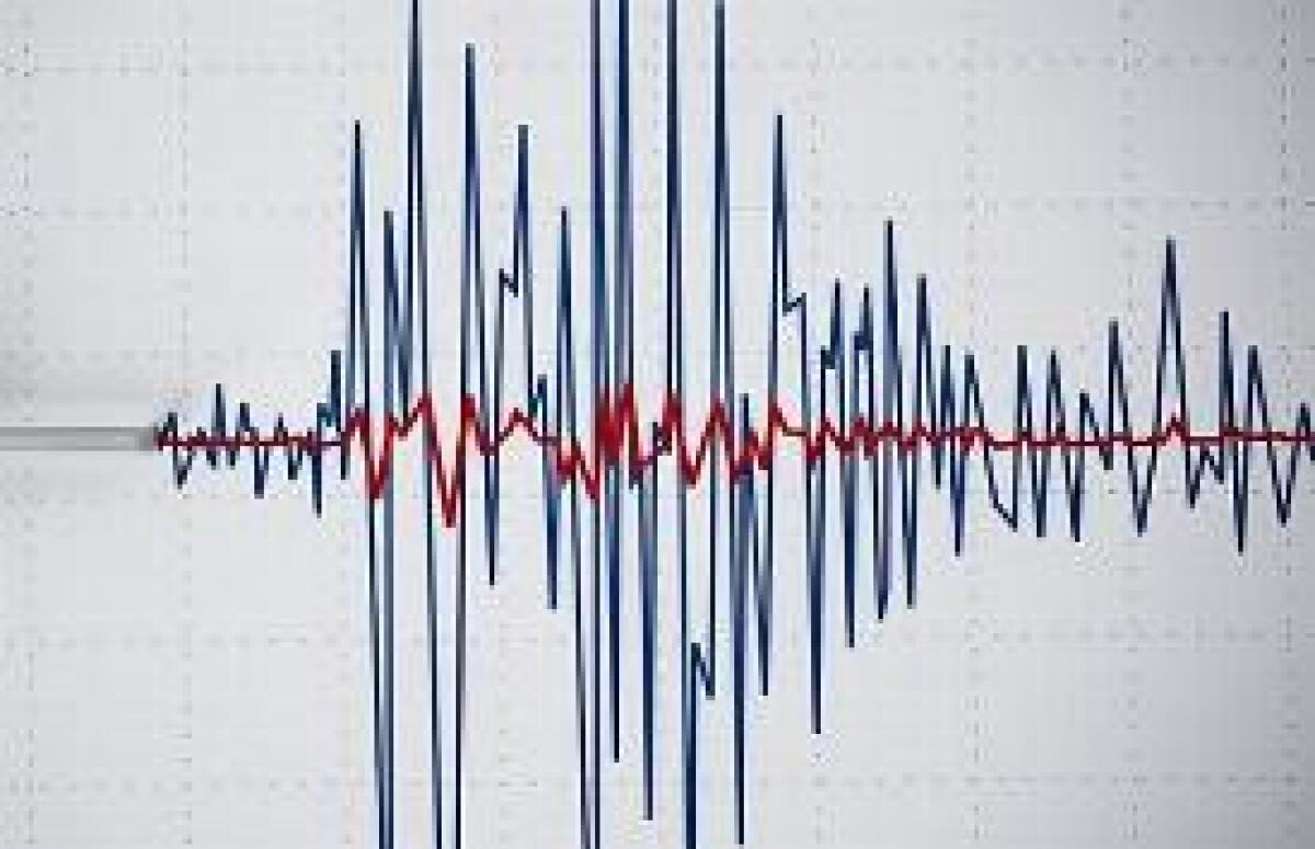 SCOSSA DI MAGNITUDO 4.1 TRA NORCIA E ARQUATA - 
