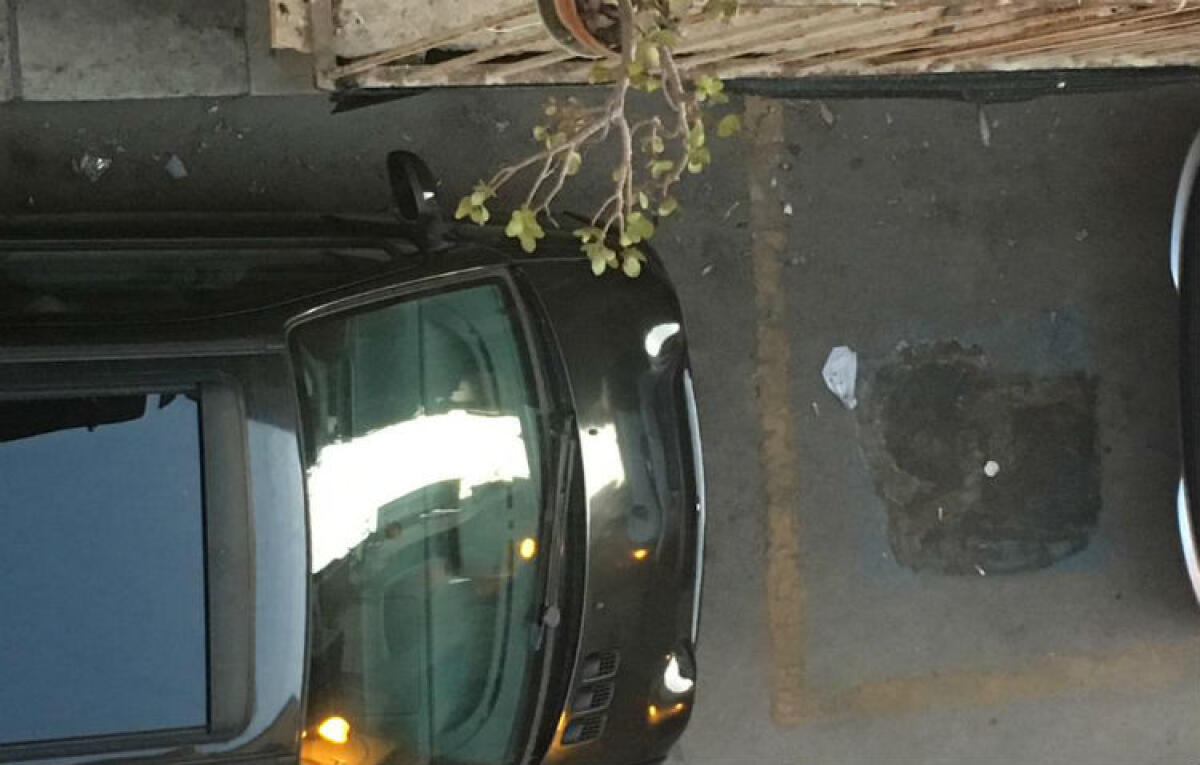 Stalli per disabili occupati ma niente multe: Gallo, "non c'è la segnaletica orizzontale" - Chiunque parcheggia sugli stalli riservati