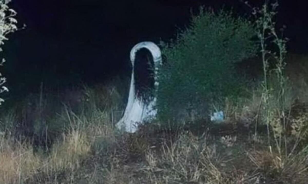 Psicosi Samara a Macchitella, carabinieri e poliziotti costretti ancora una volta ad intervenire - 