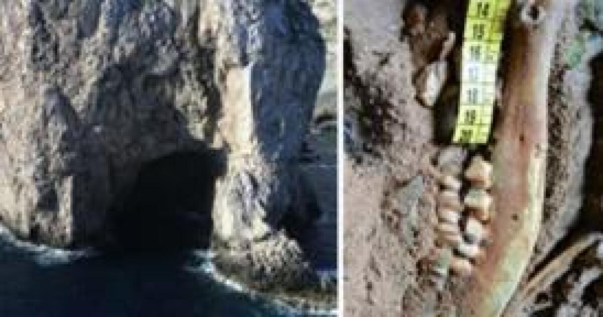 MEDITERRANEO, REPERTI SVELANO CHE L'UOMO NAVIGAVA PER CIBO 8600 ANNI FA - 