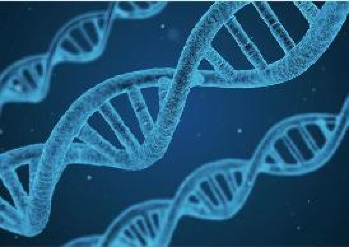 ESSELUNGA E FONDAZIONE TELETHON ALLEATI CONTRO LE MALATTIE GENETICHE - 