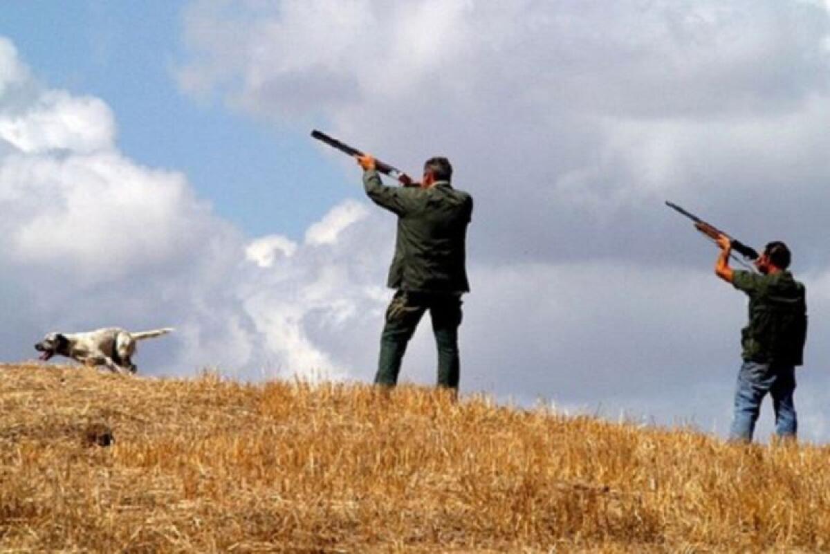 Caccia vietata nella Piana di Gela e nelle aree protette Sughereta di Niscemi e Biviere -