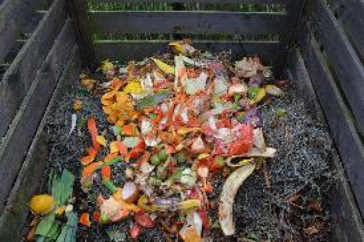 DA ACEA I MINI IMPIANTI DI COMPOSTAGGIO DIFFUSO PER I RIFIUTI ORGANICI - 