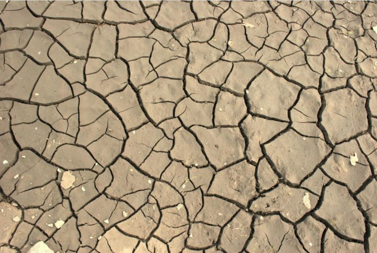 COLDIRETTI, AL SUD È ALLARME SICCITA’ - 