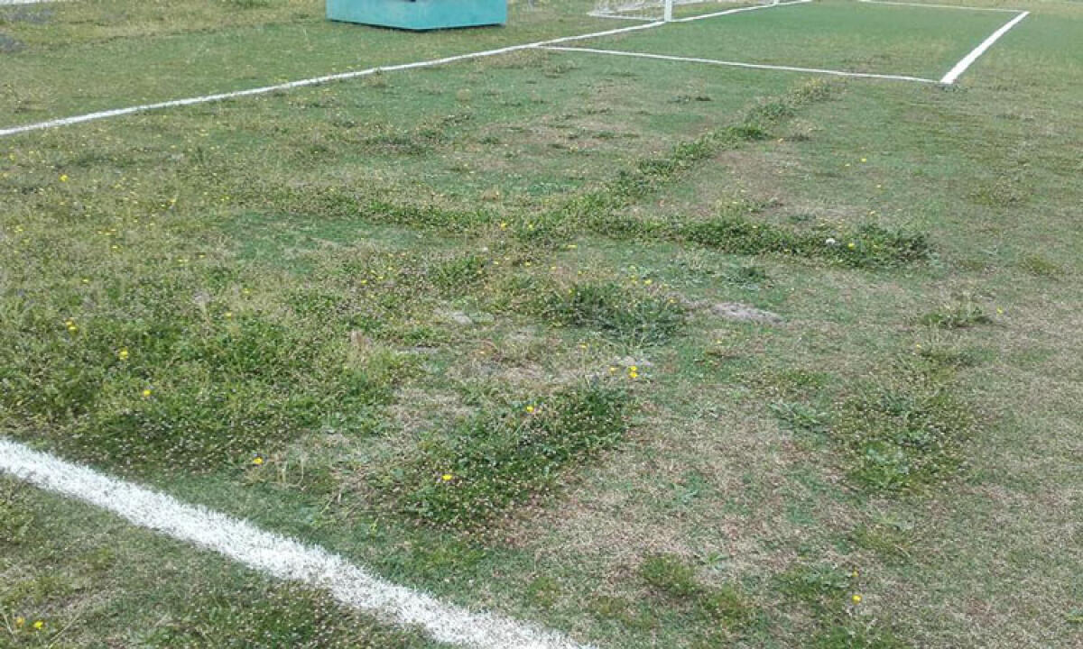 Si sbloccano gli interventi al Presti, obiettivo apertura a novembre - Il manto erboso del Presti si presenta così 