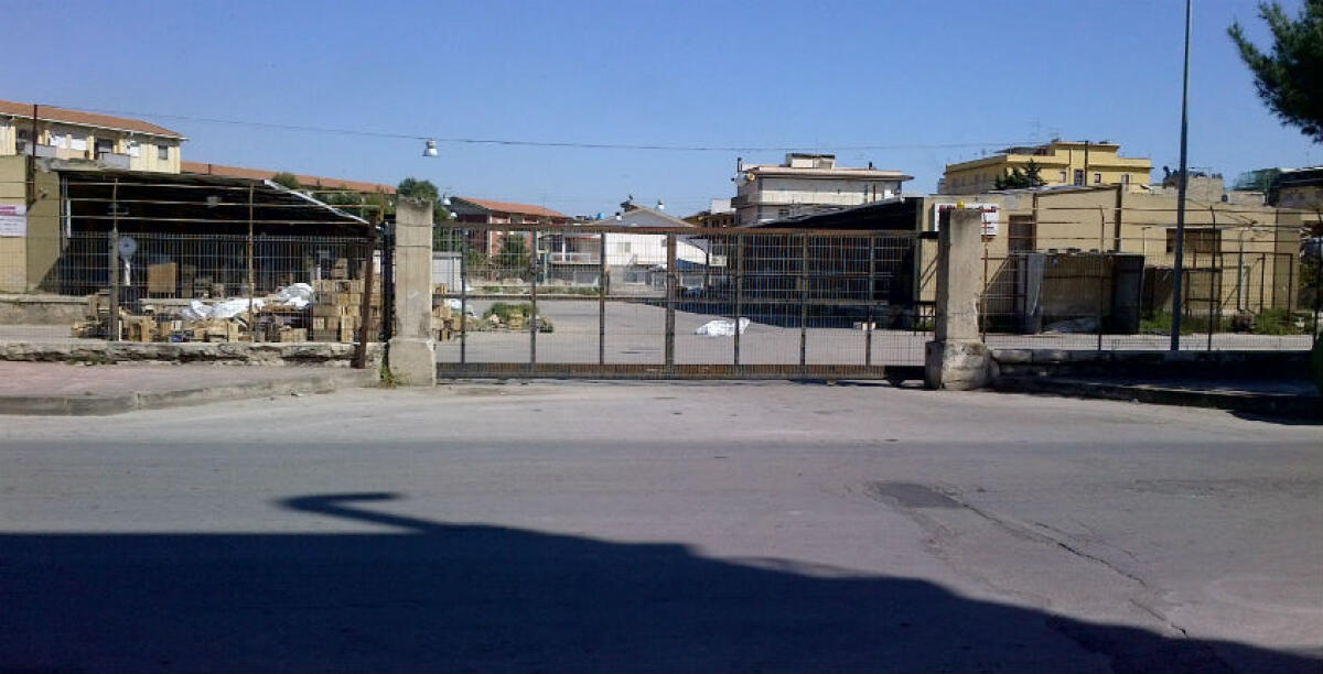 Mercato ortofrutticolo va rimesso a nuovo, sopralluogo della commissione: tante criticità - 