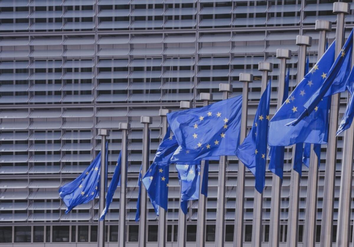 DA TUTTI I PAESI UE STOP ALLE ARMI ALLA TURCHIA - 