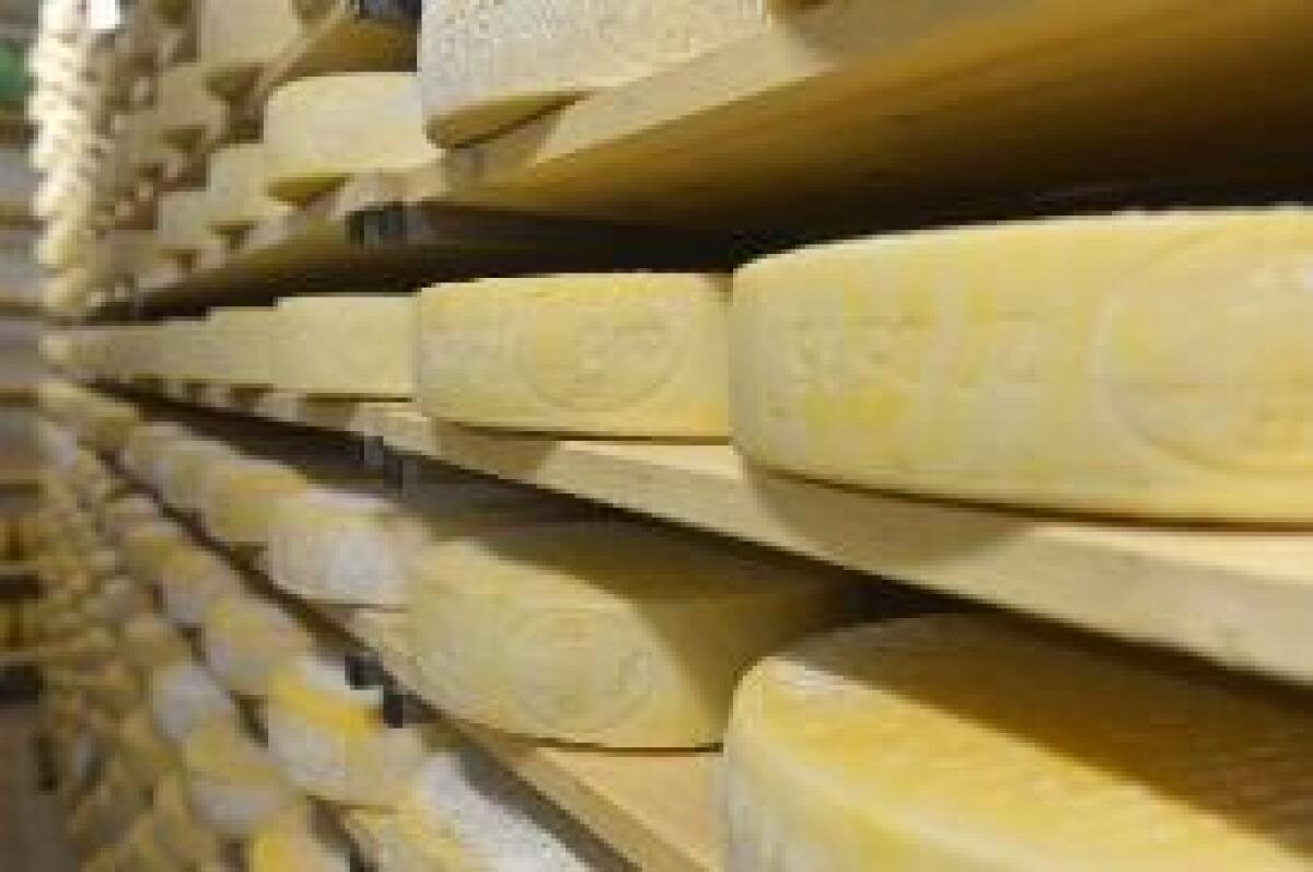 AD AGOSTO IN DECISA CRESCITA L'EXPORT DEI FORMAGGI ITALIANI IN USA - 