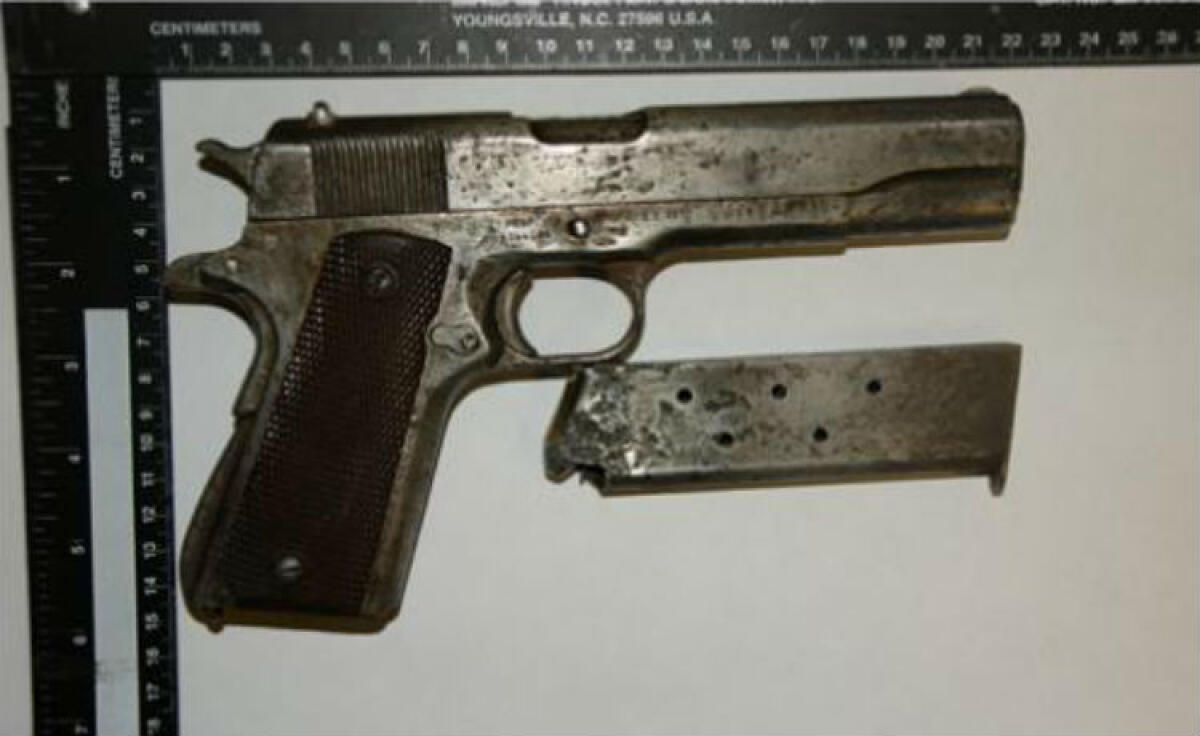 Una pistola nell'ovile, arrestati tre pastori: indagine estesa al ferimento dei Raitano - La pistola sequestrata nell'ovile