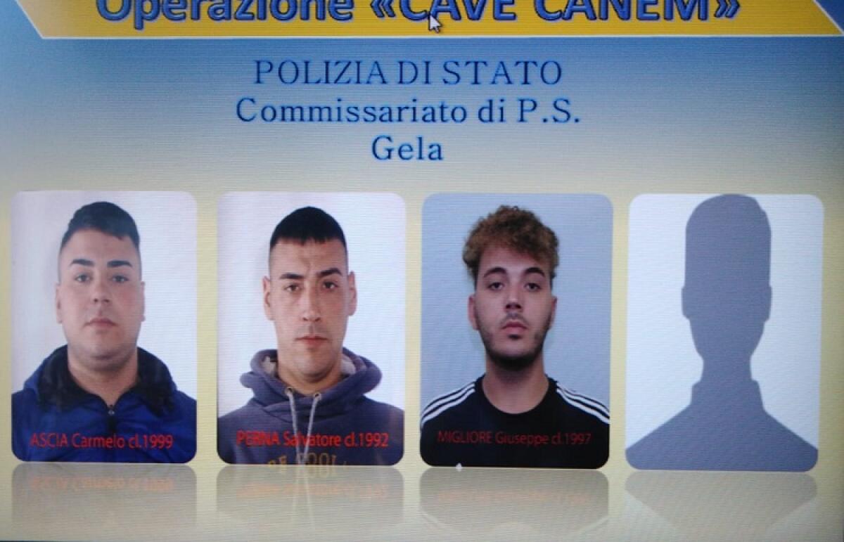 Blitz "Cave canem" con 4 arresti  e 50 denunciati, ricostruiti 100 episodi - Gli arrestati non hanno parlato