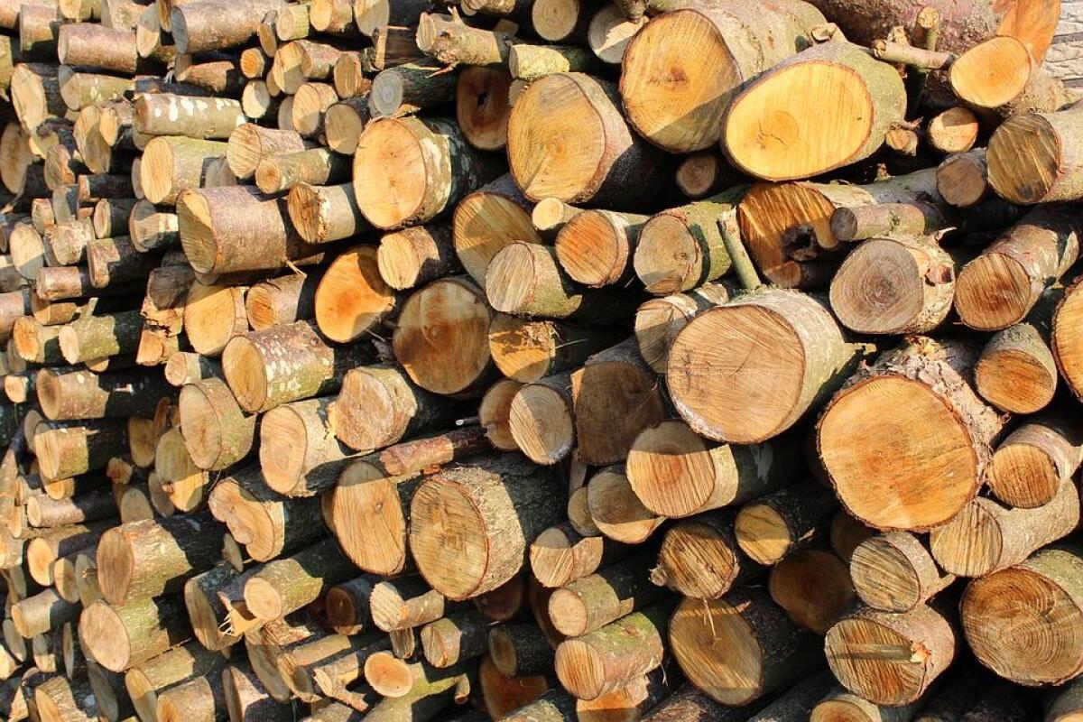 MILANO, IL LEGNO DELLA FORESTA DISTRUTTA RIVIVE NEL TRIENNALE TEATRO -