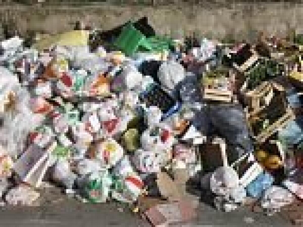 ROMA, SI È DIMESSO IL CDA DELL'AMA - 