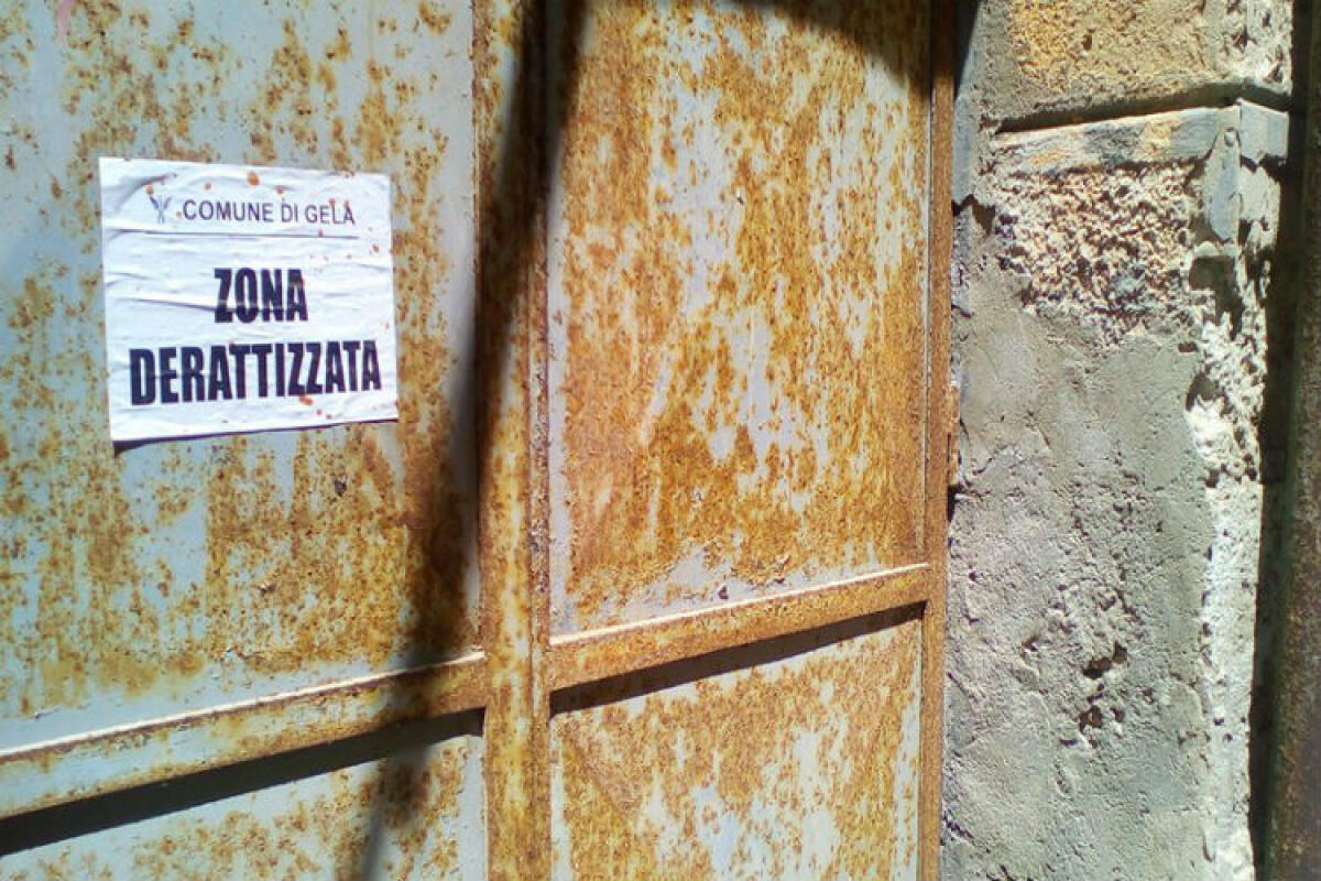 "Pulizia urgente e derattizzazione nei quartieri", Giudice alla giunta: "Si faccia presto" - 