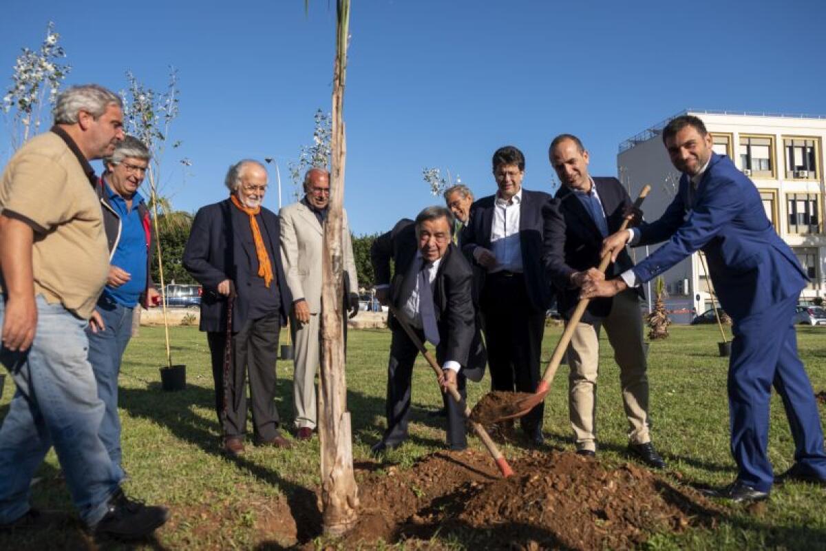 MOBILITA’ SOSTENIBILE, CRESCE IL BOSCO DI NO SMOG MOBILITY - 