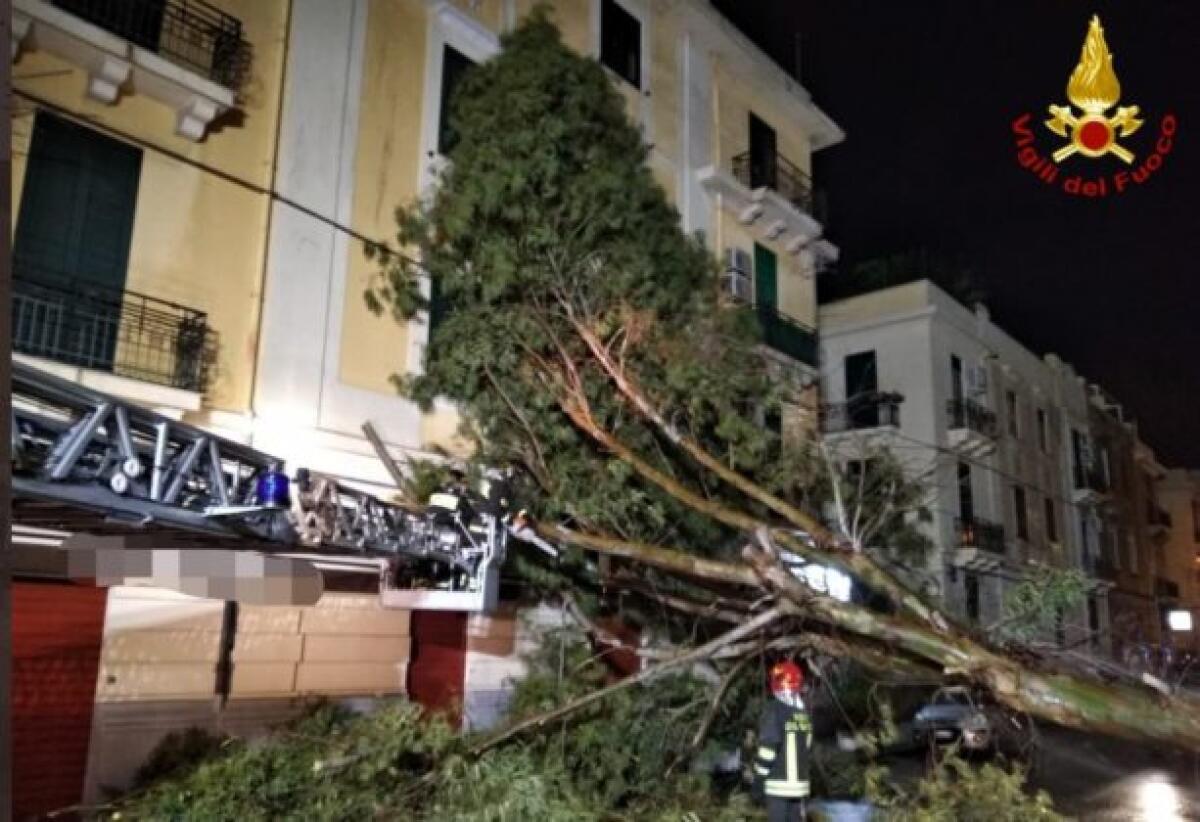 MALTEMPO, NEL SUD ITALIA 1300 INTERVENTI DEI VIGILI DEL FUOCO IN 36 ORE - 
