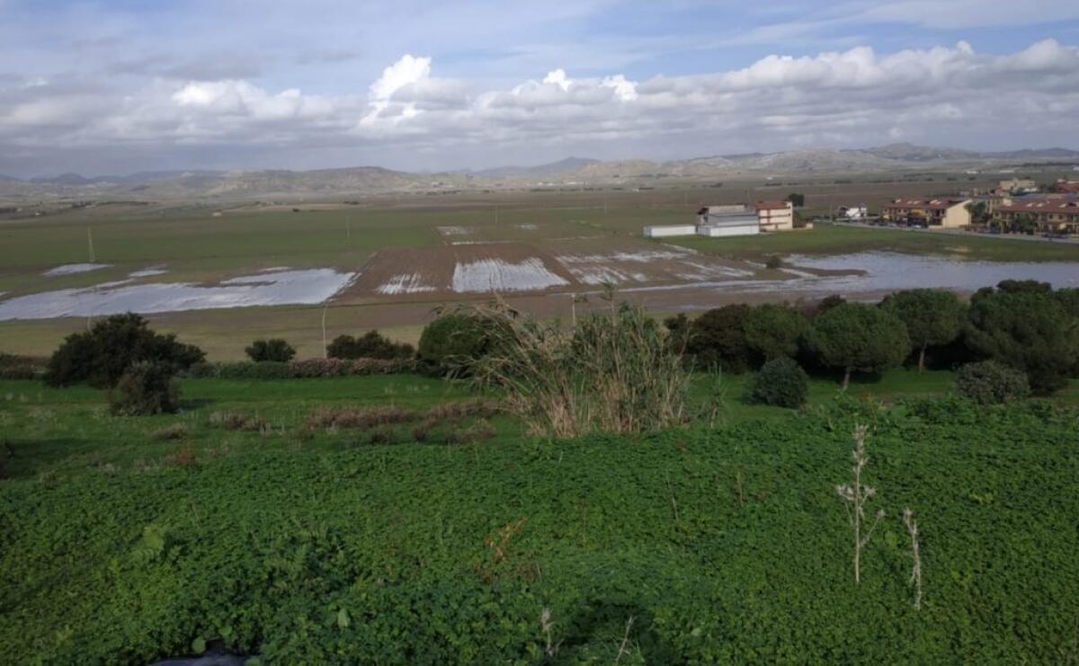Campagne sferzate dal maltempo, Piana allagata: Cascino, "risarcimenti per agricoltori locali" - Un'area della Piana di Gela
