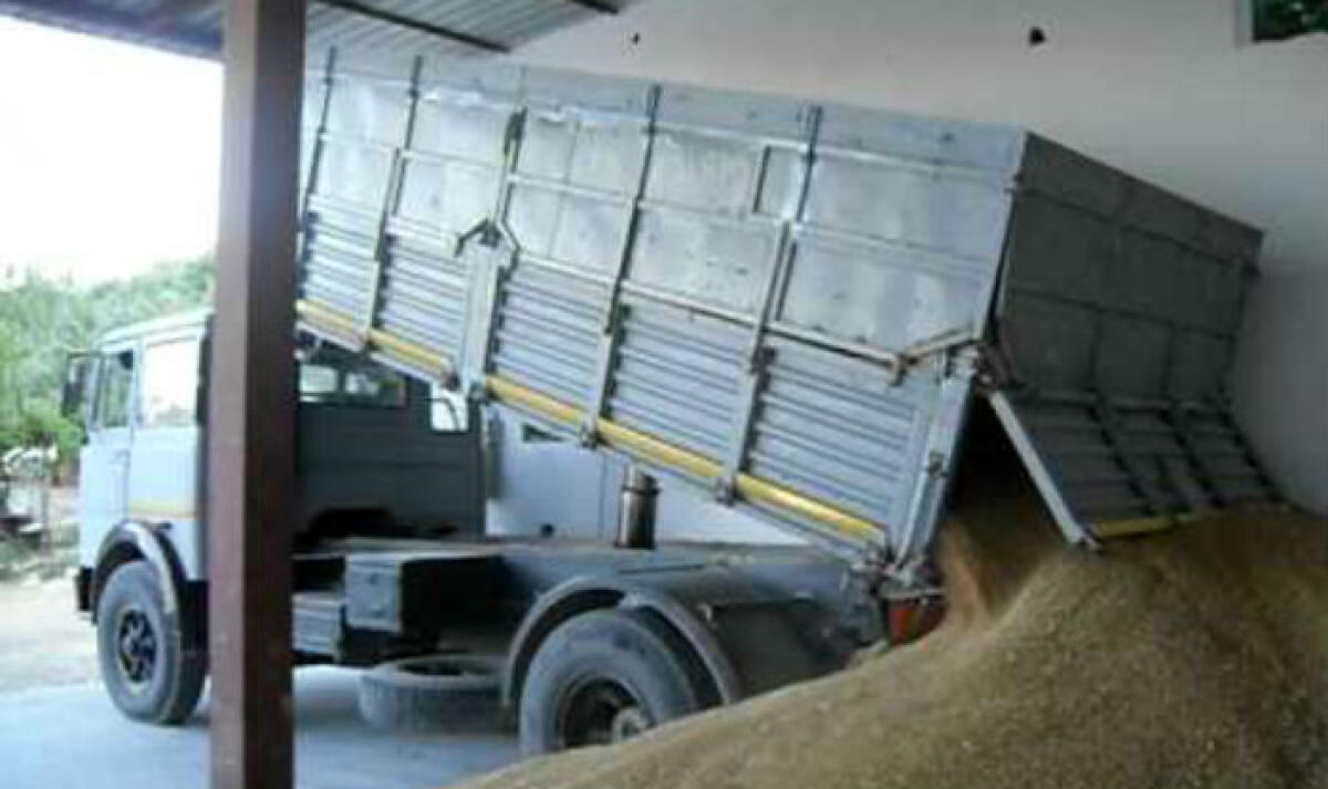 Tragico incidente sul lavoro, morto autotrasportatore gelese durante operazioni carico frumento - 