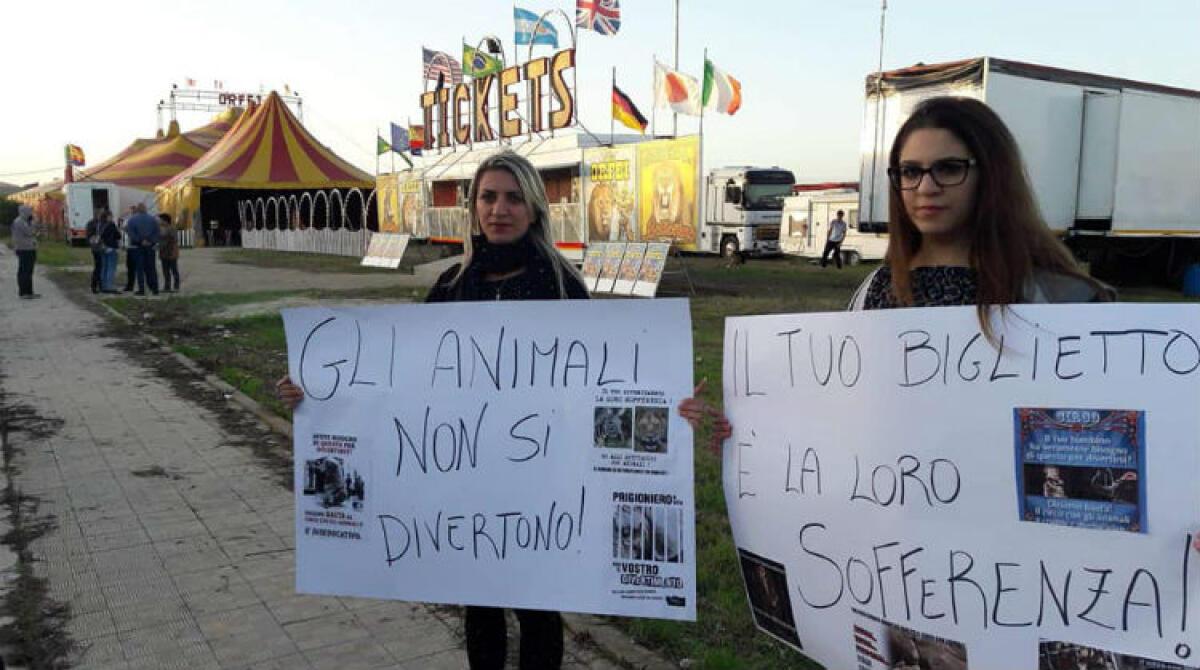 "Il tuo biglietto è la loro sofferenza", sit-in al circo "Orfei": "Animali non si divertono" - Un gruppo di animalisti ieri davanti al circo "Orfei"