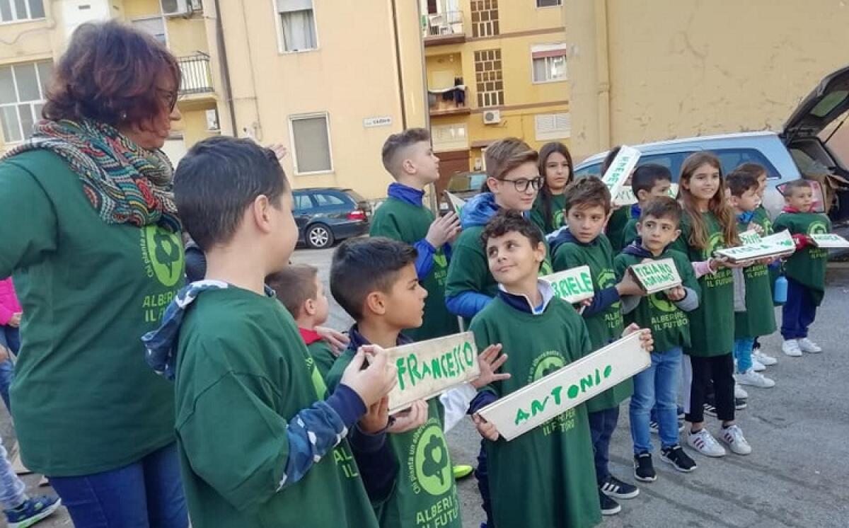 Arbusti di Olmo in largo Cadore per "Alberi per il futuro" - 