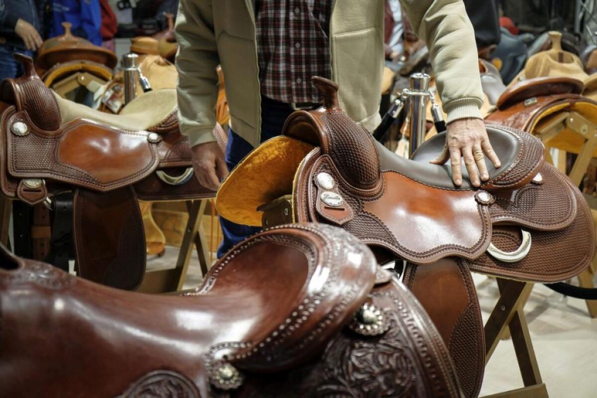 TORNA A VERONA FIERACAVALLI, IN MOSTRA OLTRE 2 MILA ESEMPLARI - 