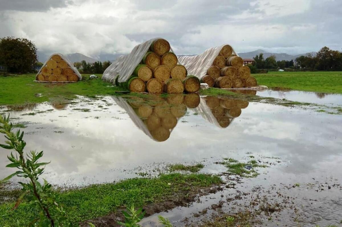 BOMBA D’ACQUA SU CASERTA, CAMPI ALLAGATI E STALLE DISTRUTTE - 