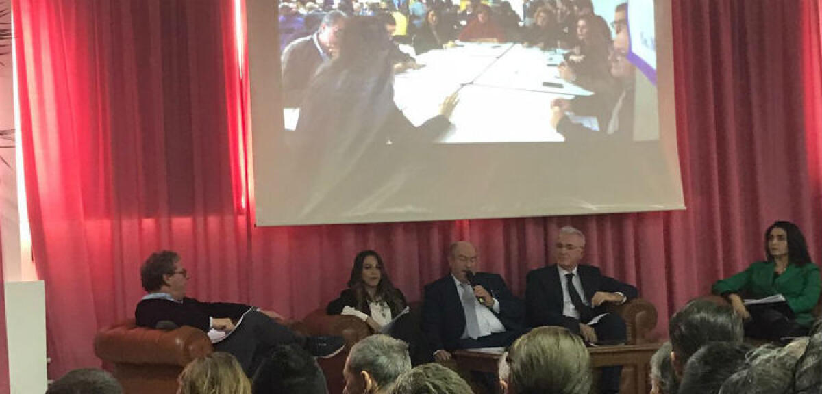 Malati e morti, Romano davanti ai vertici Fi: "Un polo di eccellenza e tavolo su bonifiche" - Romano ha illustrato dati preoccupanti