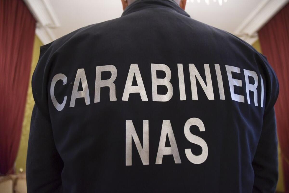 RISTORAZIONE NELLE SCUOLE, SOSPESE 21 DITTE DI CATERING -