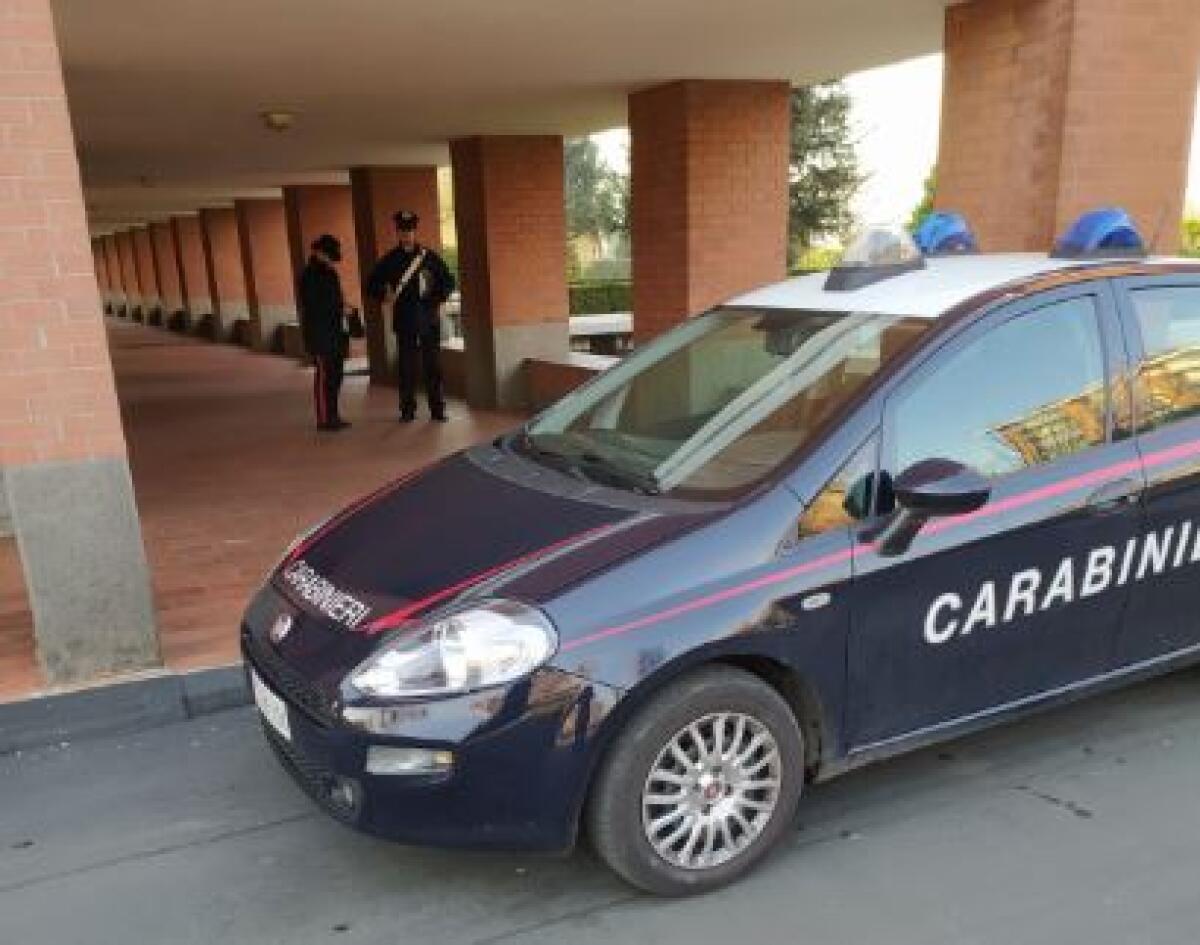DONNA DISABILE UCCISA DALL’ANZIANA MADRE NEL TORINESE - 