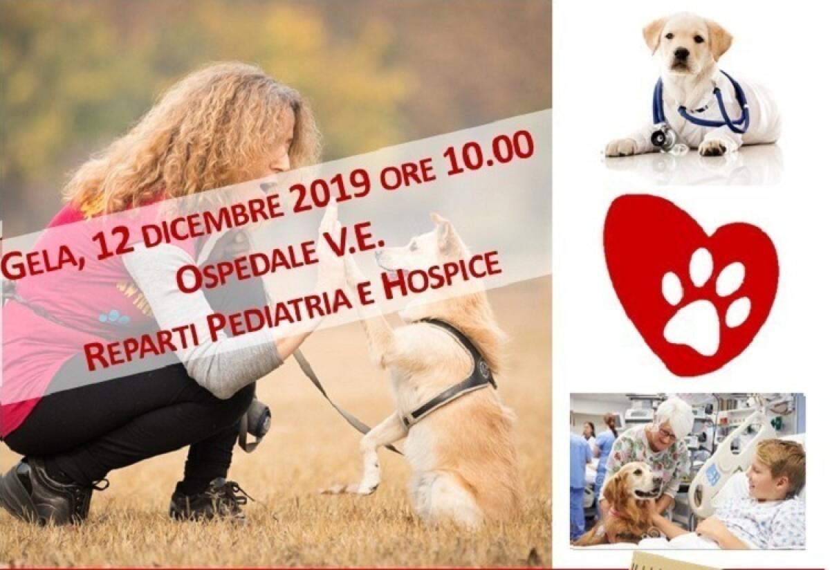 Amici a quattro zampe in corsia in ospedale -