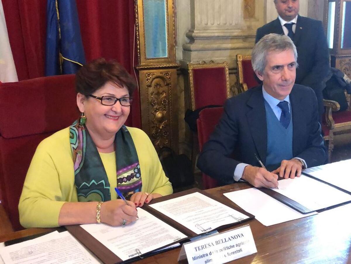 BARILLA, ACCORDO CON IL MINISTERO PER GRANO 100% ITALIANO - 