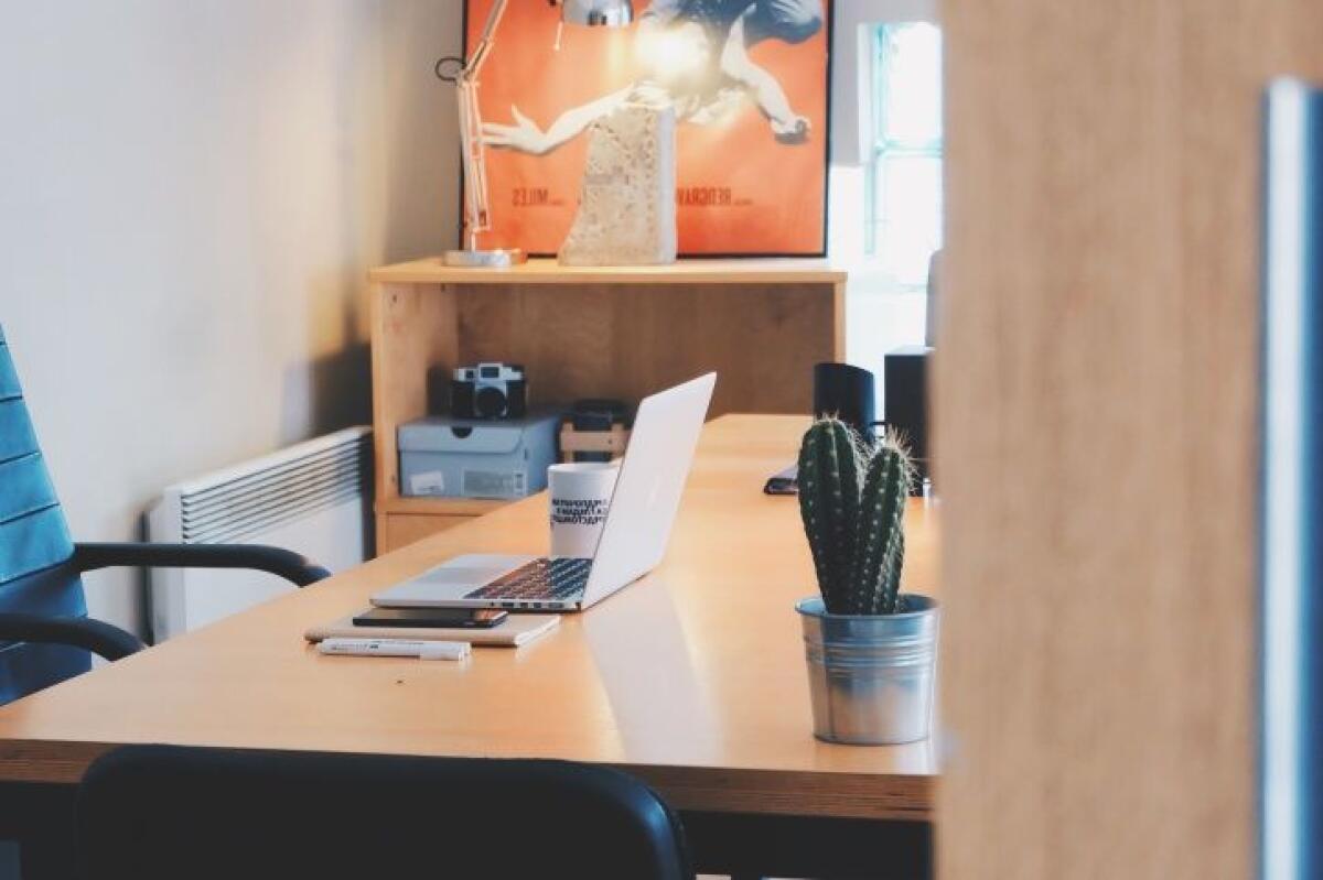 I LAVORATORI NON DIPENDENTI NEL PUBBLICO SONO SEMPRE DI PIÙ - 