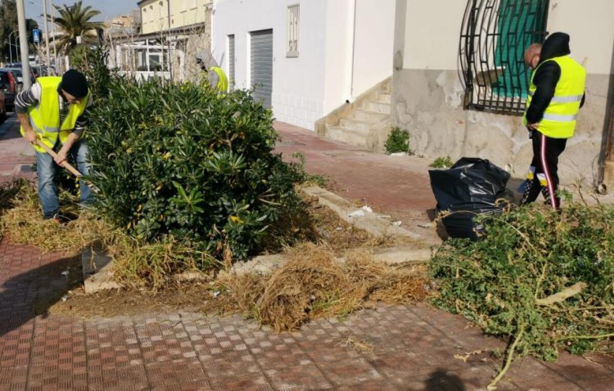 Sì all'assegno civico per 27 cittadini ma in cambio cureranno gli spazi verdi -