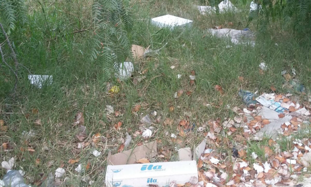 Rifiuti e pavimentazione divelta, nel giardino di via Redi manca la manutenzione - Rifiuti negli spazi verdi