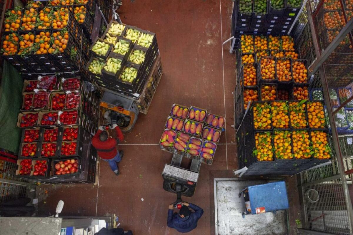 A NOVEMBRE VENDITE AL DETTAGLIO IN AUMENTO SU BASE ANNUA - 