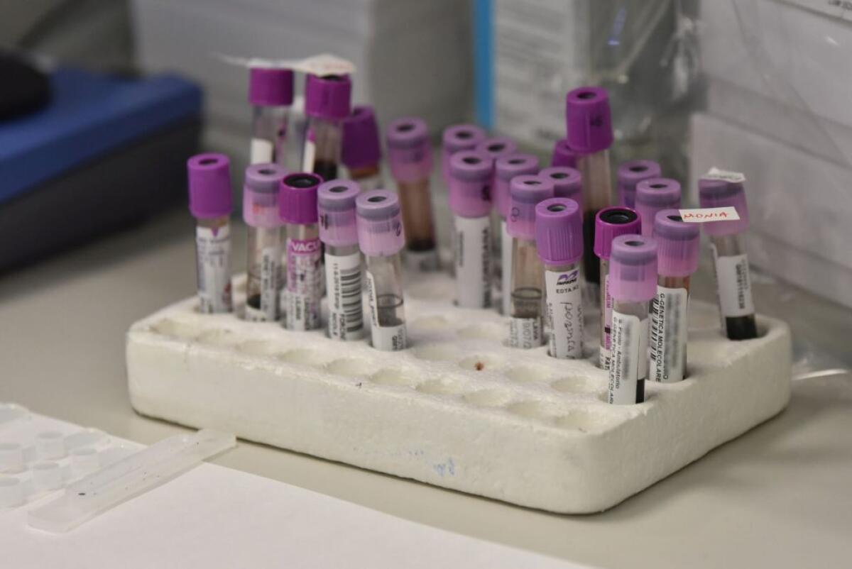 CORONAVIRUS CINESE: RIENTRA ALLARME IN ITALIA, PRIMI CASI IN EUROPA - 