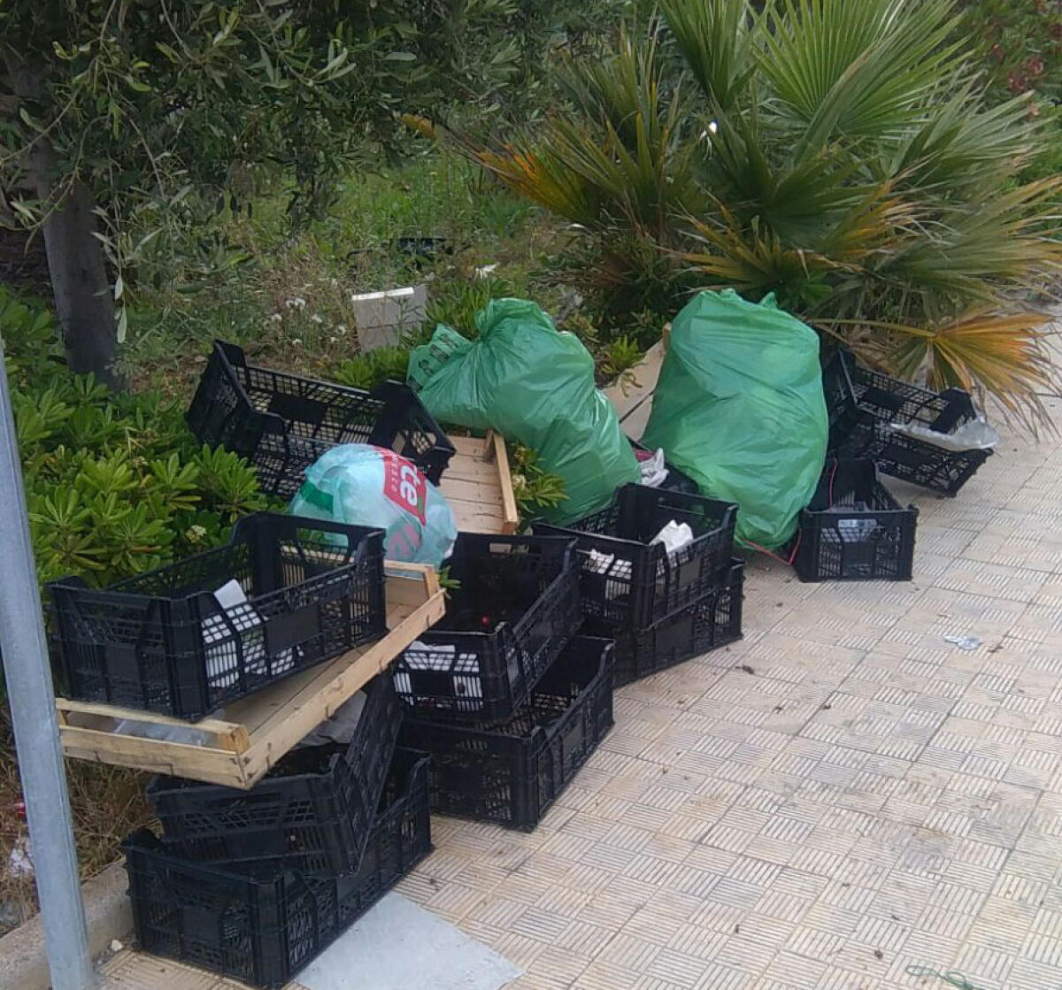 Nuovi turni di raccolta, ecco il calendario completo fino all'1 febbraio: organico in tre giornate - 