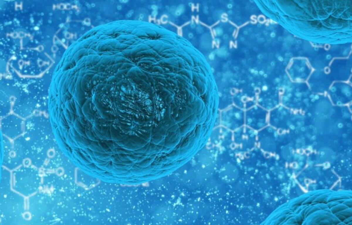 Coronavirus, in Lombardia 46 contagiati e primo caso a Milano - 