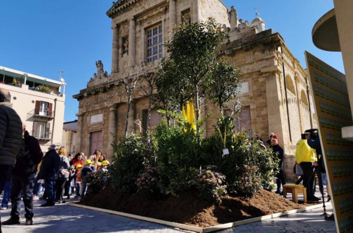 Oasi mangia smog, al Circular Tour gli alberi che catturano l'effetto serra - 