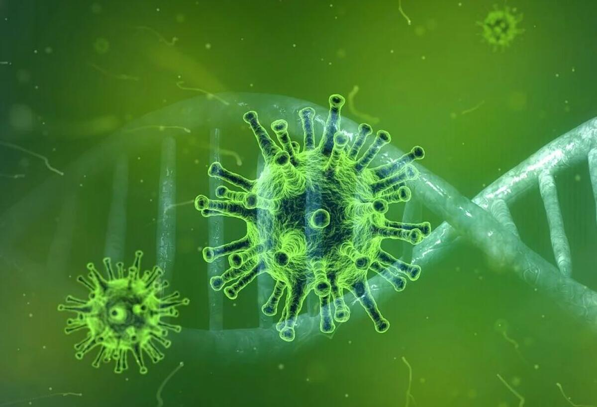 Coronavirus, altri 8 casi in Lombardia - 