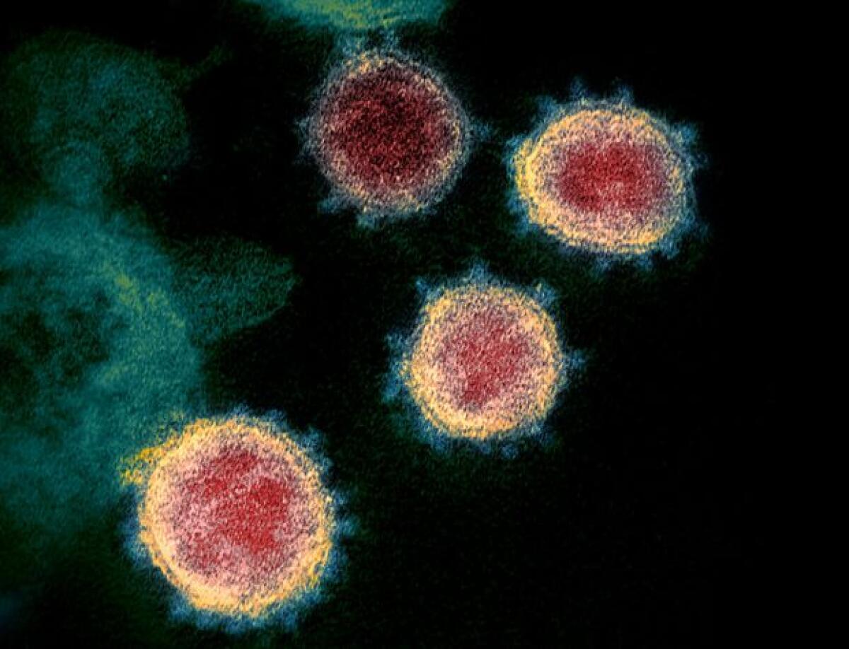 E’ morta la 76enne positiva al coronavirus a Treviso, 11 le vittime - 