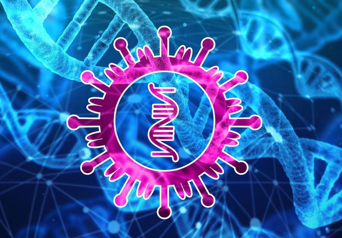 Coronavirus, due casi anche nel Padovano. Zaia: “Misure rigorose” - 