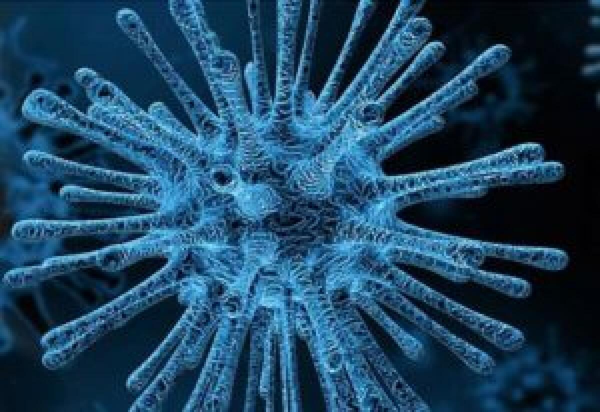 Coronavirus, è emiliano il primo italiano contagiato -