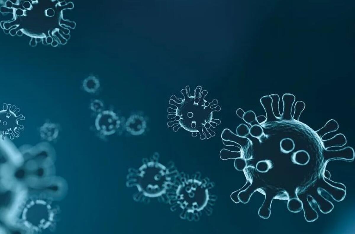 Coronavirus, Niccolò negativo al test - 