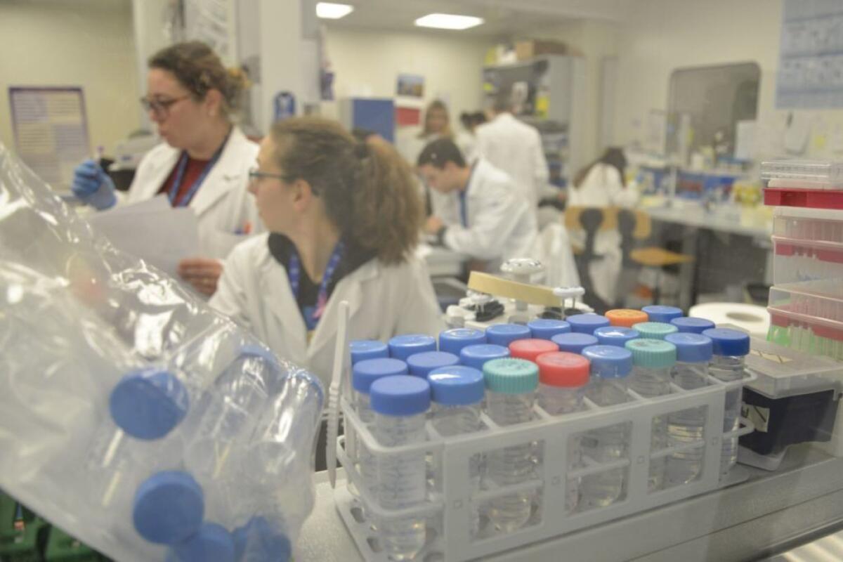 Coronavirus, continuano a migliorare le condizioni dei coniugi cinesi - 