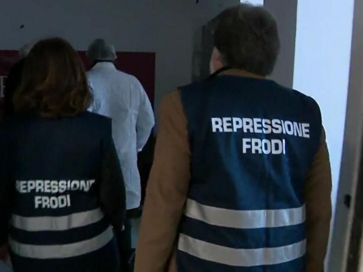 Sequestrati nel Lazio oltre un milione di litri di vino - 