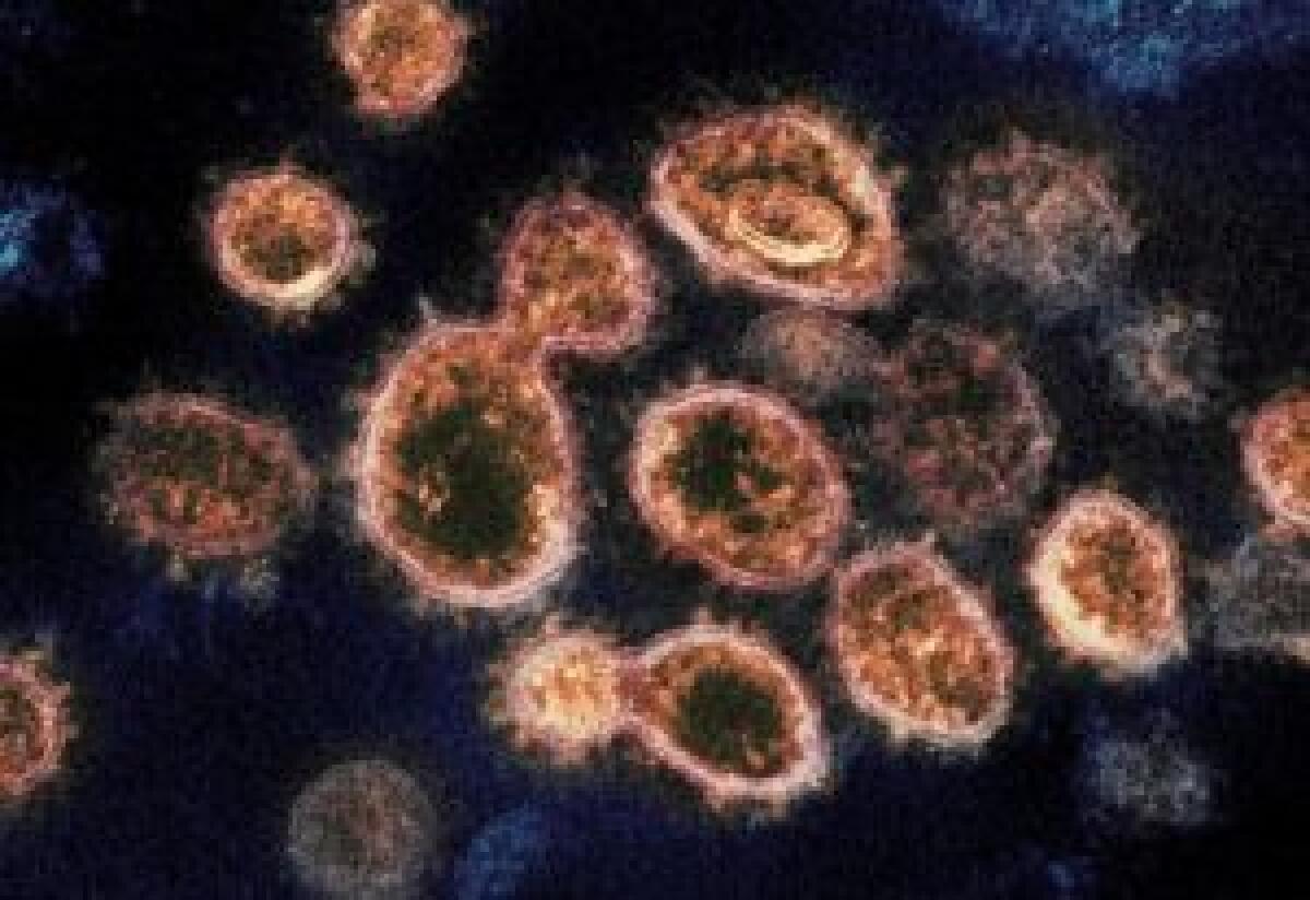 Coronavirus, in ginocchio il comparto allestimento fiere ed eventi - 